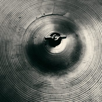 cymbalum mundi © catherinepeillon