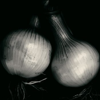 paire d’oignons © catherinepeillon